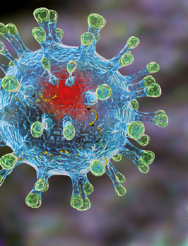 Что необходимо знать о коронавирусе?