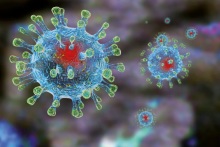 Что важно знать о коронавирусе?