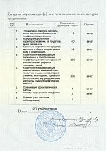 Диплом/сертификат Литовченко Альбины Шарифулловны