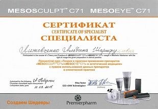 Диплом/сертификат Литовченко Альбины Шарифулловны
