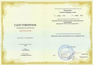 Диплом/сертификат Литовченко Альбины Шарифулловны