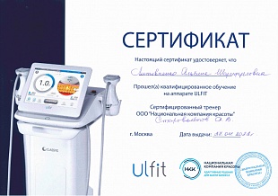 Диплом/сертификат Литовченко Альбины Шарифулловны