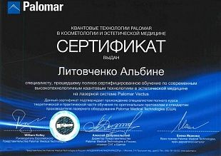 Диплом/сертификат Литовченко Альбины Шарифулловны